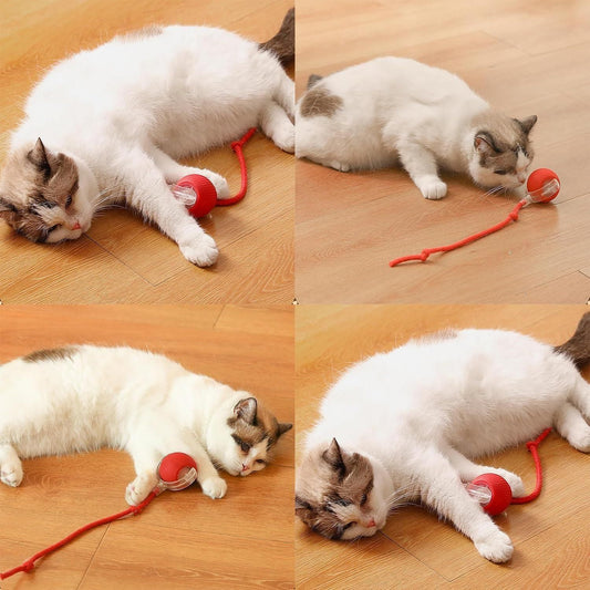 SSE Mojo Rolling ball with Tail